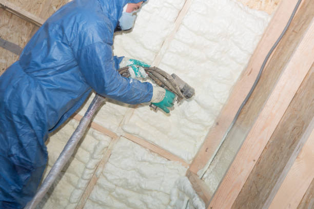 Best Crawl Space Insulation  in Crandall, TX